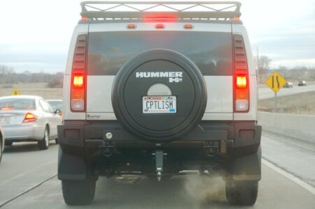 First Environmentalism—Then Socialism! Image